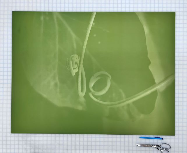 Jet Intaglio Plate
