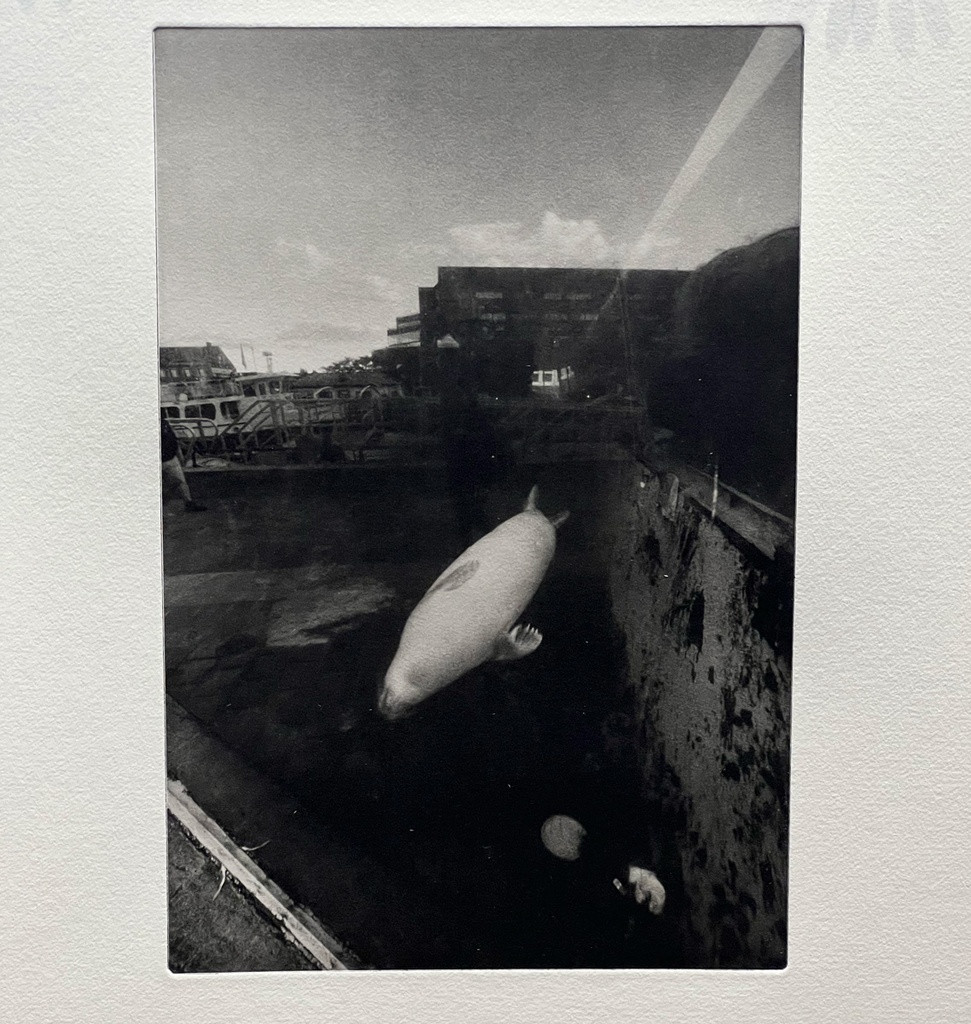 Ready-to-print photogravure plate from your image
