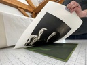 A Recorded Live Session: Direct to Plate Photopolymer Photogravure